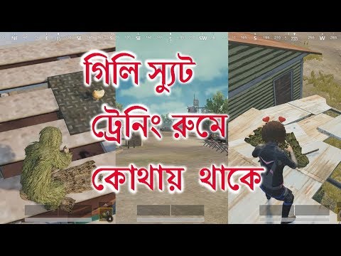 ভিডিও: গিলি স্যুট কি কাজ করে?