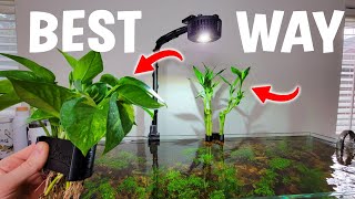 BEST Way To Display Houseplants In Your Aquarium!?  Full Tutorial