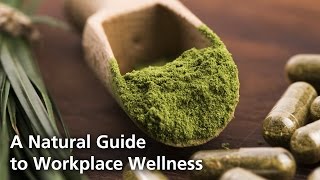 A Guide to Workplace Wellness