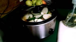 (Crock Pot) Cream of Broccoli Soup (Crock Pot) Cream of Broccoli Soup