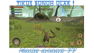 Tikus Bunuh ular game apaan ini ??? Mouse Simulator update 2018 screenshot 4