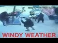 Windy Weather  Funny Videos