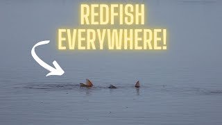 THIS is what happens when the tide DROPS (Port O' Conner Texas)