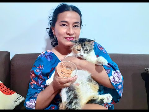 Video: Cómo Elegir La Comida Para Un Gato Enfermo