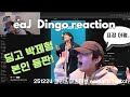 eaJ Dingo REACTION 딩고보며 괴로워하는 제형이 (feat. 한국 활동 감회 &amp; 함춘호 라디오) 