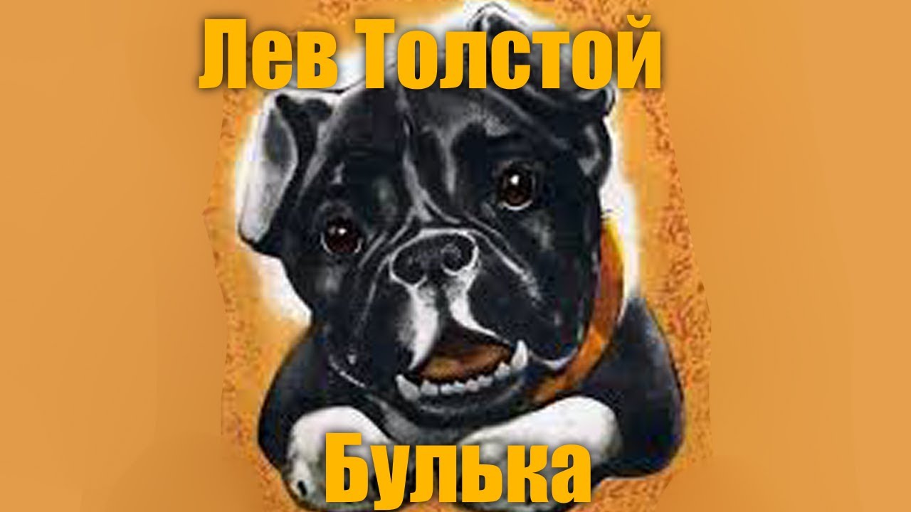 Толстой булька читать с картинками полностью