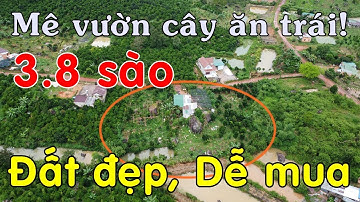 Bán đất vườn 3.8 sào full cây ăn trái ao suối đầy đủ thế đất cực đẹp giá lại rẻ tại Di Linh Lâm Đồng