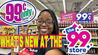 LET’S GO SHOPPING AT THE 99 CENTS STORE 🛍️🛒 I SPENT…..