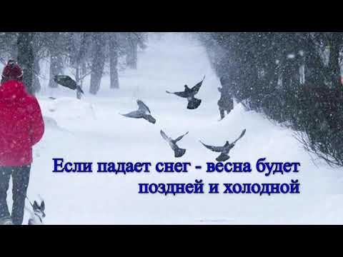 Народные приметы на Сретение Господне! 15 февраля!