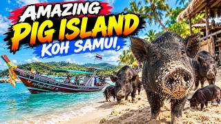 Pig Island, Koh Samui Thailand... Wow