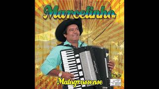 Dançando Com A Moreninha - Marcelinho - O Sanfoneiro Mais Querido Do Brasil.