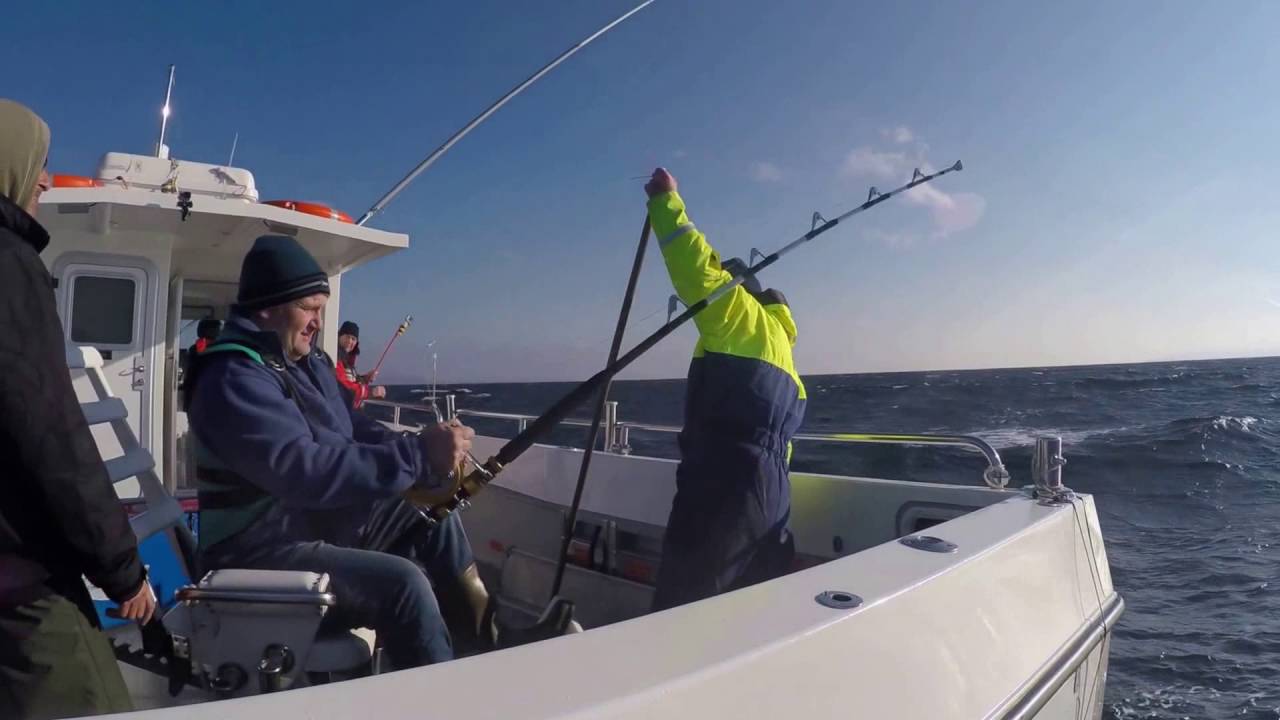 Bluefin Tuna, Oct 2016 big game fishing, Donegal, Ireland. YouTube