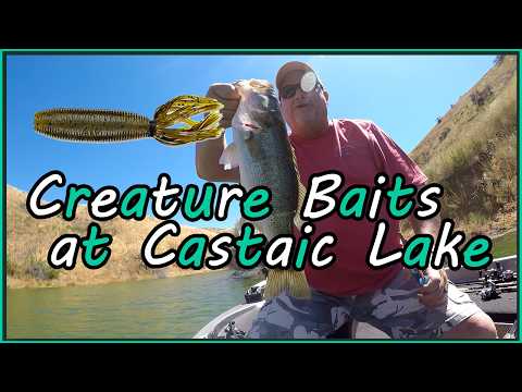 Casting Creature Baits at Castaic Lake | Early Summer Fishing Report