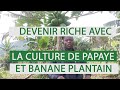 Deux cultures rentables pour un jeune agriculteur