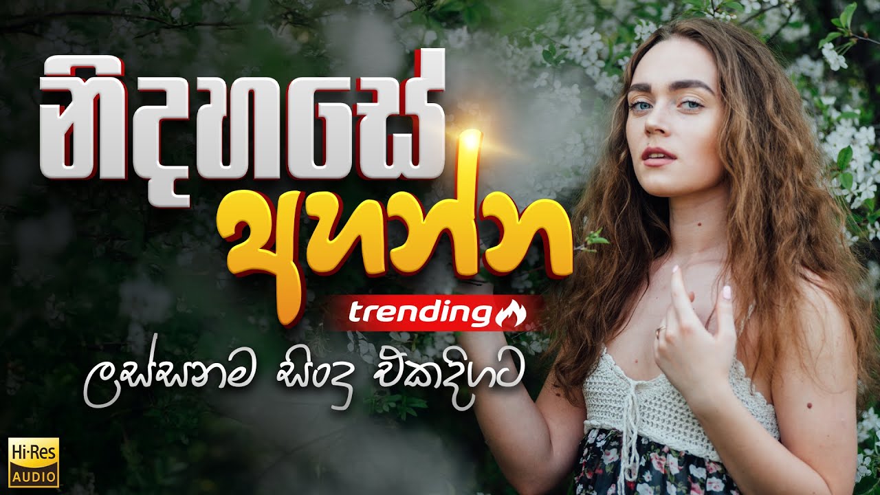 නිදහසේ අහන්න ලස්සනම සිංදු එකදිගට| Trending Songs | Sinhala Songs Collection 2026