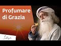 Essere disponibili alla grazia  sadhguru italiano