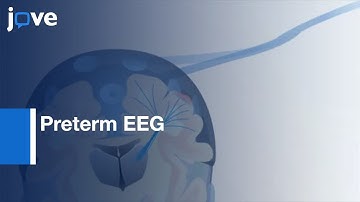 Preterm EEG: Multimodal Neurophysiological l Protocol Preview