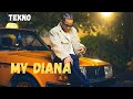 Tekno My Diana Lyrics Video
