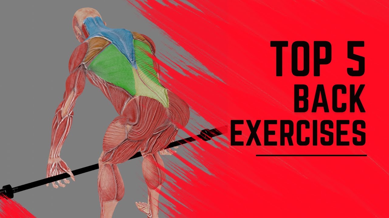 Most Important Back Exercises - YouTube