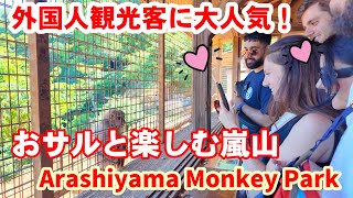 5/29(水)外国人観光客に大人気！嵐山モンキーパーク【4K】Arashiyama Monkey Park