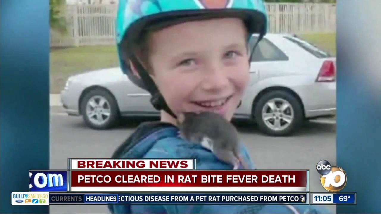 Petco cleared in rat bite fever death YouTube