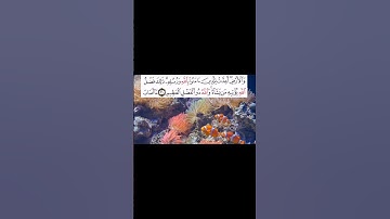 #تلاوة_خاشعة #قرآن #تلاوات #اكسبلور  #قران_كريم #quran #surah #قرآن