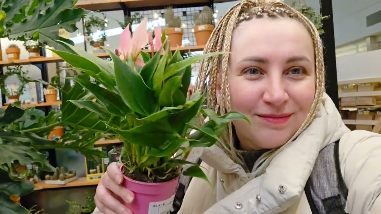 ІРЛАНДСЬКІ ГОСТИНЦІ ДЛЯ МАМИ В ПОСИЛКИ В УКРАЇНУ. МОЇМИ ОЧИМА В МАГАЗИНІ