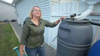 Kims Healthy Yard: Rain Barrels