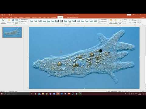 Video: Kako postaviti hipervezu u Microsoft PowerPoint: 7 koraka