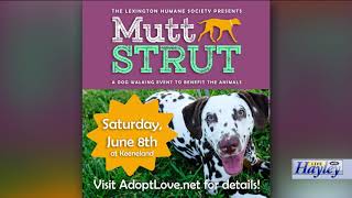 Mutt Strut\/ Pet Of The Day: May 31, 2019