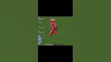 I downloaded 1.21 version in pojav launcher without sodium with motion blur #motionblur #minecraft