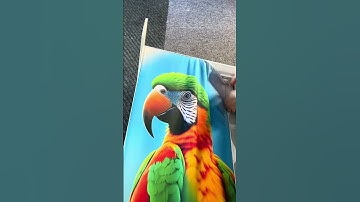 Fitting SEG fabric graphics