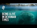 What If You Lived in the Devonian Period?