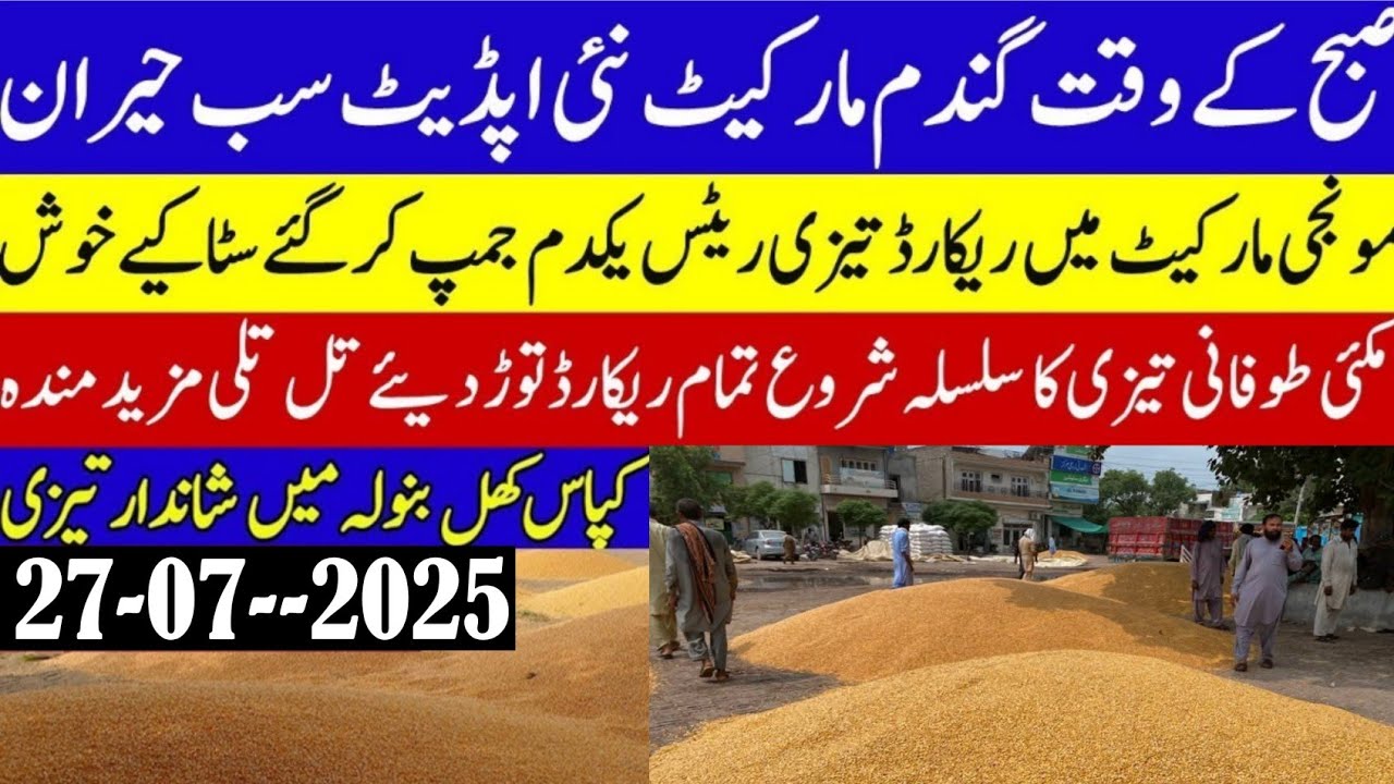 wheat price today in Pakistan/Munji Sindh Punjab rates/Maize 🌽 price ...