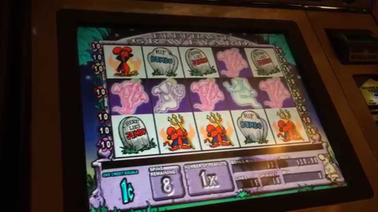 Video slot Bella Donna Video slot Bella Donna
