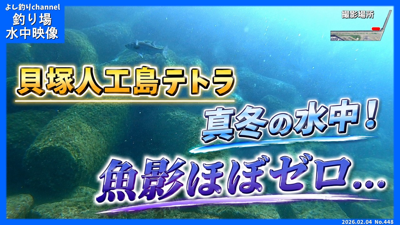 水温8.9℃｜真冬の水中…魚影ほぼゼロ｜貝塚人工島テトラ 2026年2月