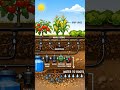 Drip Irrigation | Save Water, Grow More 🌱💧 #agriculture #science #physics #stem #irrigation #drip