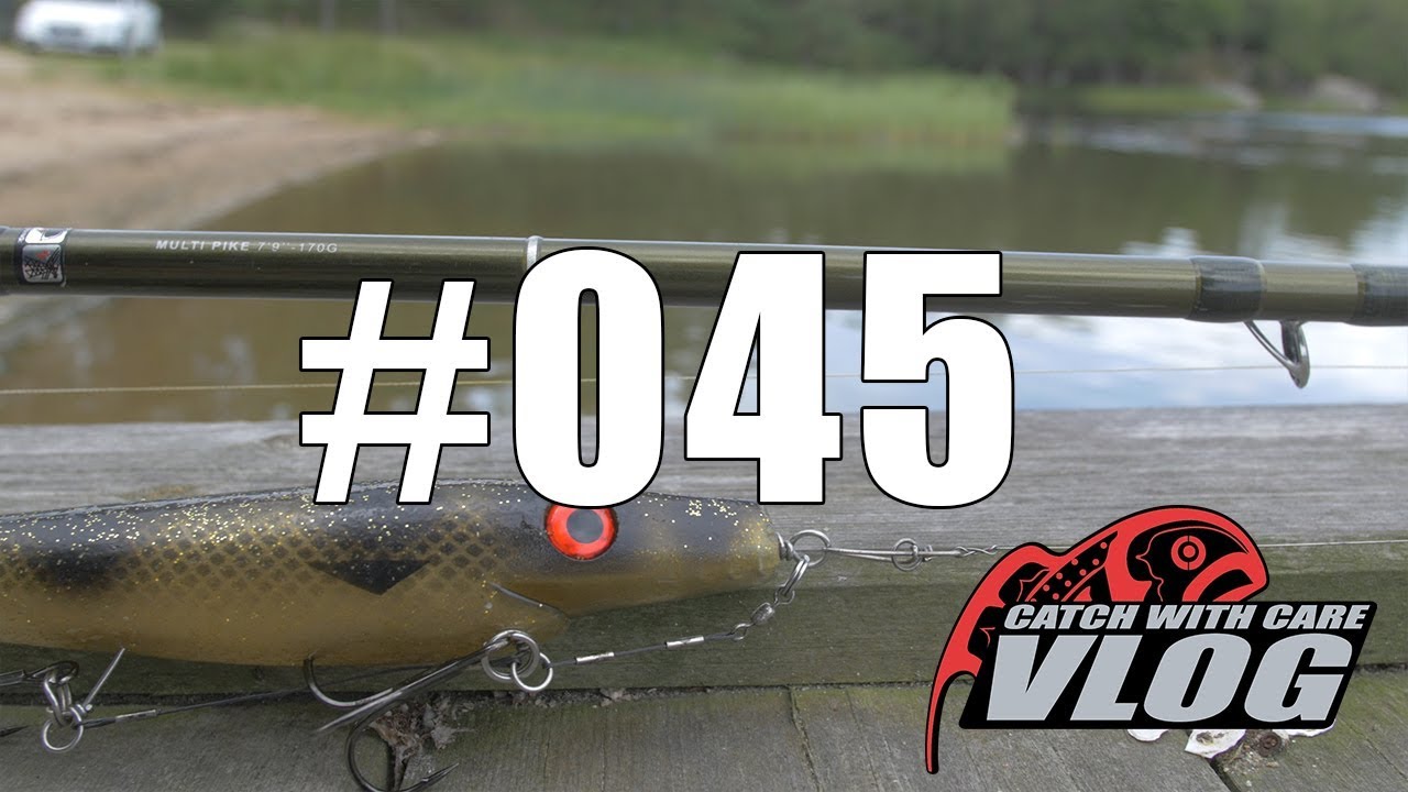 BFT Roots G2 Multi Pike - CWC VLOG #045 - YouTube
