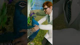 The artificial peacock concept 🦚
