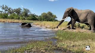 Morula Swims | Jabu Sand Baths | Living With Elephants Foundation | Botswana