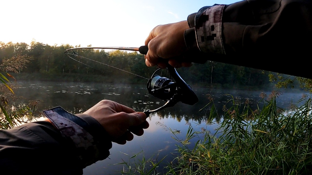 Tyle ryb na spining dawno nie złowiłem !!! Jesień !!! Drapieżniki ruszają !!!