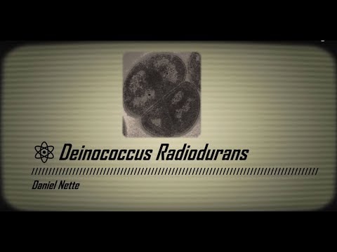 Видео: Висококачествена последователност на генома на радиорезистентната бактерия Deinococcus Ficus KS 0460