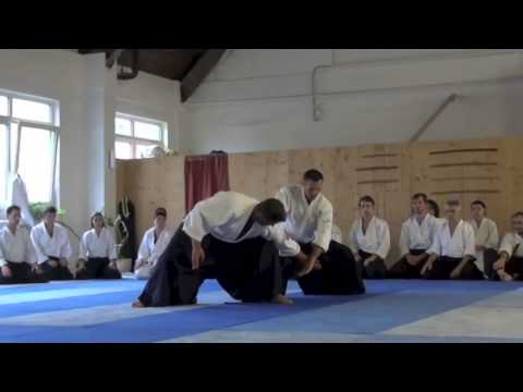 Michel Erb Best Of Destinations Aikido 2013 [Cosmic Love]