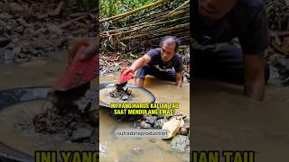 Wajib Kalian Tau Saat Mendulang Emas