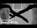 Merce cunningham  beach birds