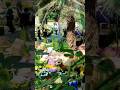 Beautifull Garden By The Bay in One Minute #singapore #singaporevlog #vlog #visitsingapore