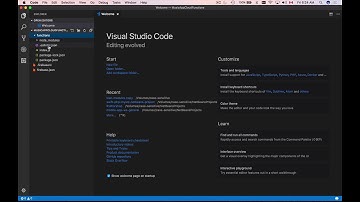 Firebase Cloud Functions with Swift - 4 - Code Editor and Git Ignore File
