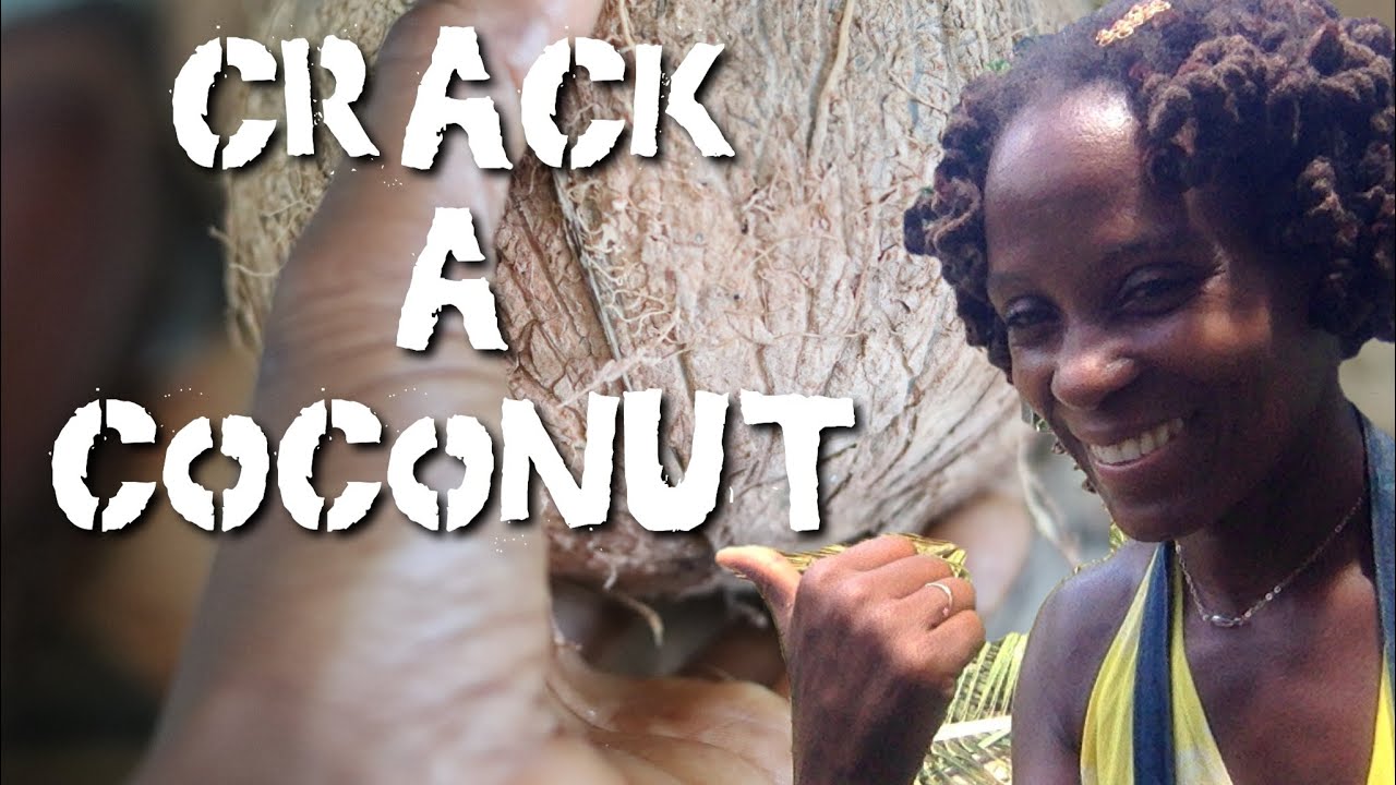 👩🏿‍🍳 How to Crack a Coconut | Whole Living Foods Plant Based