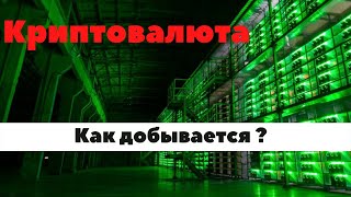 Как добывается криптовалюта / Майнинг ферма