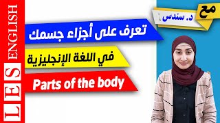 اجزاء الجسم باللغة الانجليزية | الكلمات في اللغة الانجليزية | Parts of the Body